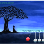 Launching Momentum Buddha
