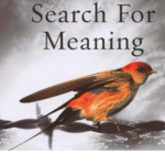 Investor's search for meaning